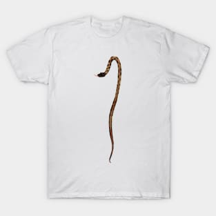 1 - Eastern blackneck garter snake T-Shirt